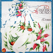Domani