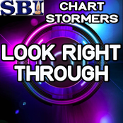 Look Right Through (Mk Remix) - Tribute to Storm Queen