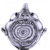 In Search of an Engine