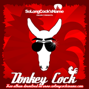 Donkey Cock