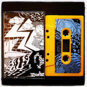 Moose Without Antlers