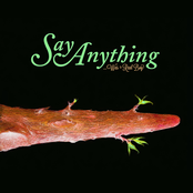 Say Anything: Was a Real Boy