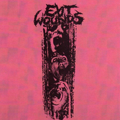 exit wounds / jigsore puzzle