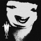 Taking Viagra until My Dick Explodes