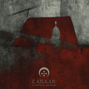 A Calling to Weakness