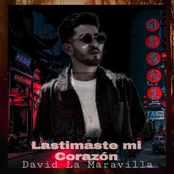 Lastimaste Mi Corazón