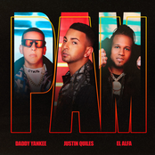 Justin Quiles: PAM