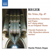 REGER: 6 Trios, Op. 47 / Introduction, Variations and Fugue, Op. 73