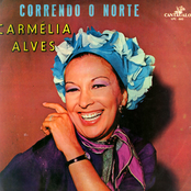 Viola Do Zé by Carmélia Alves
