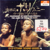 Polyphony Of The Deep Rain Forest