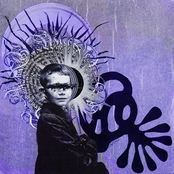 Goodbye (butterfly) by The Brian Jonestown Massacre