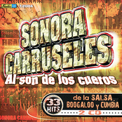 El Bailarin De La Avenida by Sonora Carruseles