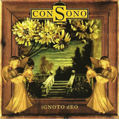 The Pilgrim Song by Consono