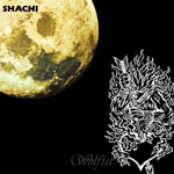 Voice by Shachi