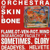 Orchestra of Skin & Bone