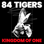Kingdom of One - Single
