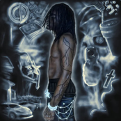 Highway: Count or Die