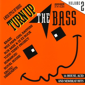 Turn up the bass - volume 2