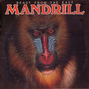 Synthia Song by Mandrill