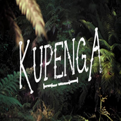Kupenga