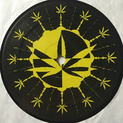 Marihuana Gets Me High