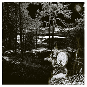 Possession of the Polar Shaman