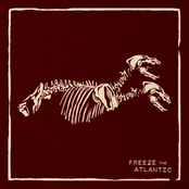 Hectares by Freeze The Atlantic