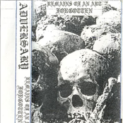 Remains of An Art Forgotten