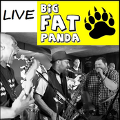 Big Fat Panda - Live