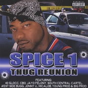 Snippets From Thug Association by Spice 1