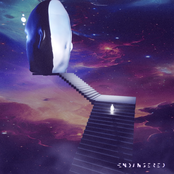 Observe / Immerse In The Sound