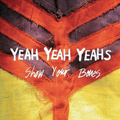 Turn Into by Yeah Yeah Yeahs