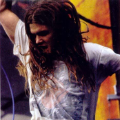 shannon hoon