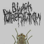 Black Putrefaction / Grotesque Deformities