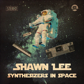 Lost In The Shuffle by Shawn Lee