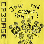 Cabbage IV