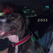 DOGS