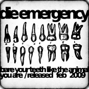 Bare your teeth like the animal you are