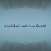 headfirst into the forest