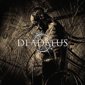 In Timeless Patterns by Deadalus
