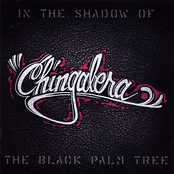 Black Palm by Chingalera