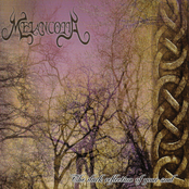 The Dark Reflection Of Your Soul