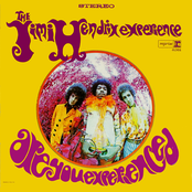 Are You Experienced Album Picture