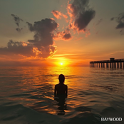 Do You Do This Often?