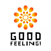 Good Feeling (Tribute to Flo Rida) - Single
