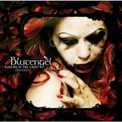 Not Too Late by Blutengel