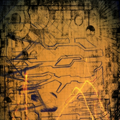 Trip