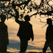 EchoBrain photo provided by Last.fm