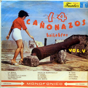 14 Cañnazos Bailables vol. 5