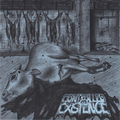 Controlled Existence / Alea Iacta Est